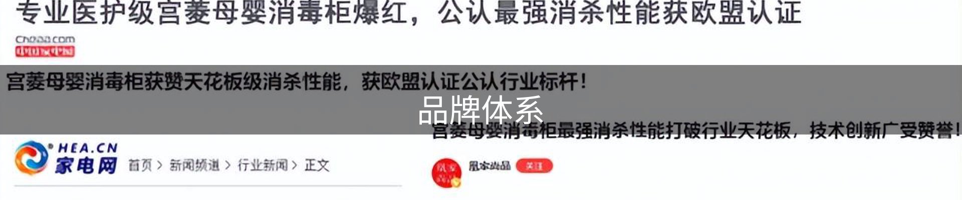 品牌体系
